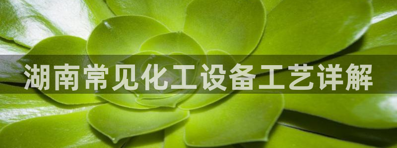 美狮会官网