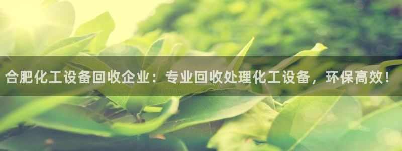 美狮贵宾会网址092app