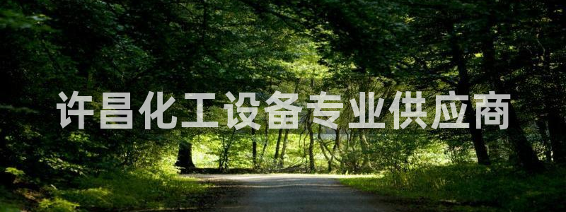 美狮国际控股集团