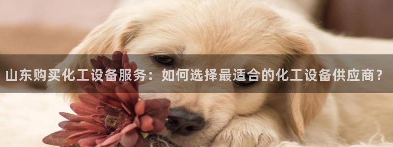 美狮贵宾会开了几年了