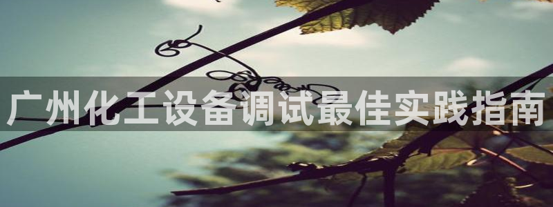 美狮贵宾会合法吗