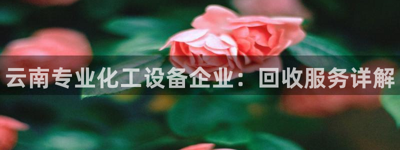 美狮会员充值中心