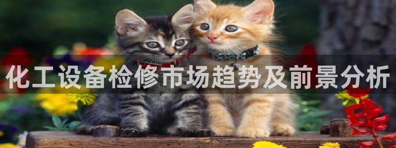 美狮贵宾会中心