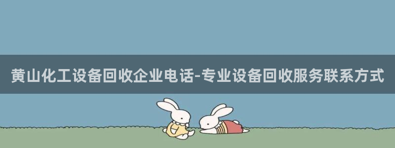 美狮会怎么样