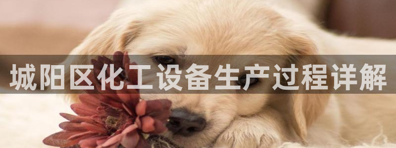 美狮会犯法吗