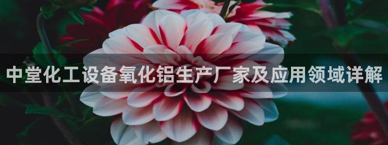 美狮贵宾会快充值中心