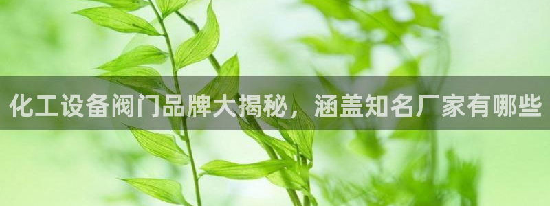 美狮贵宾会app