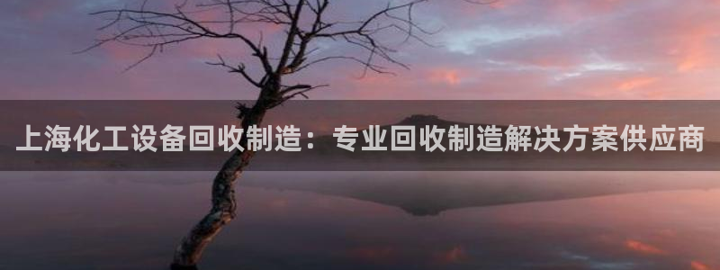 美狮会推荐人