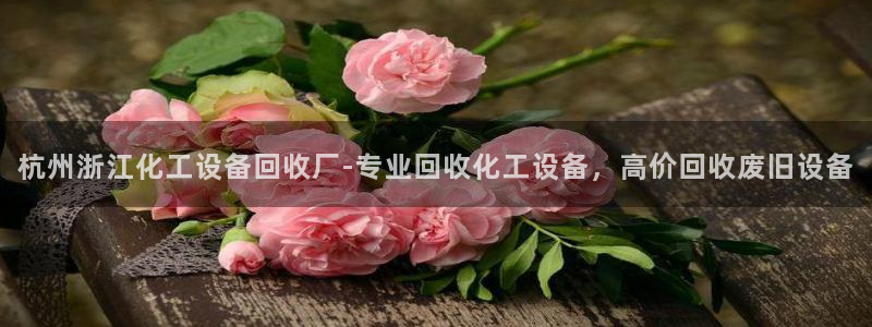 美狮官网