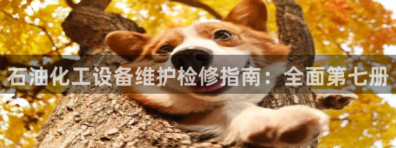 美狮会员卡等级划分标准