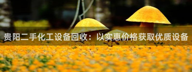 美狮会员卡等级怎么划分
