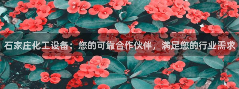 美狮传媒集团有限公司怎么样