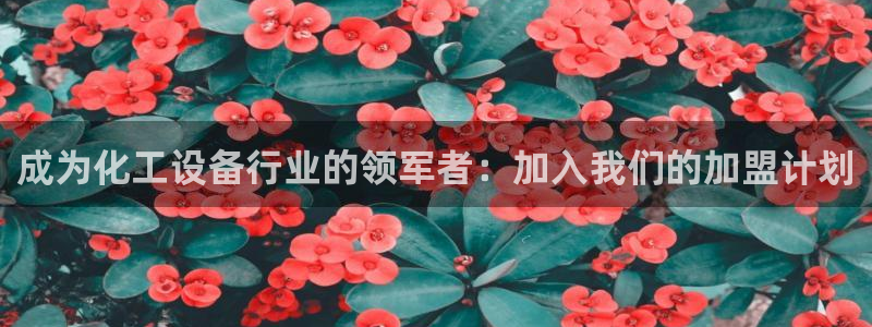 美狮会员卡等级怎么分
