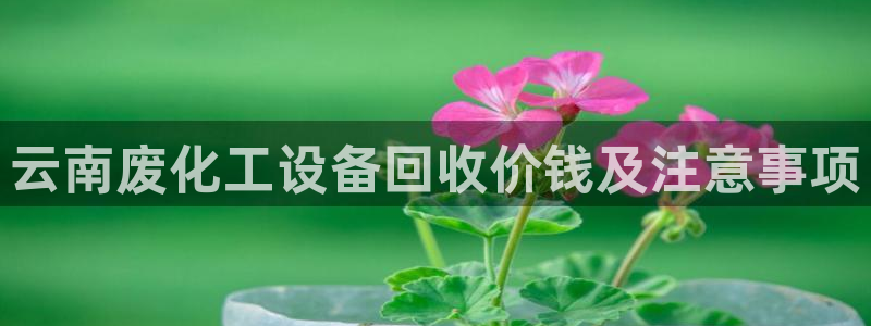 美狮会员充值中心电话