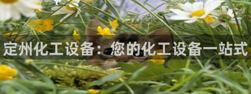 美狮贵宾会app