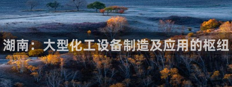 美狮贵宾会开了几年了没有