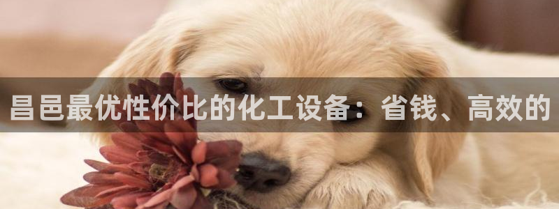 美狮贵宾快速充值中心客服电话