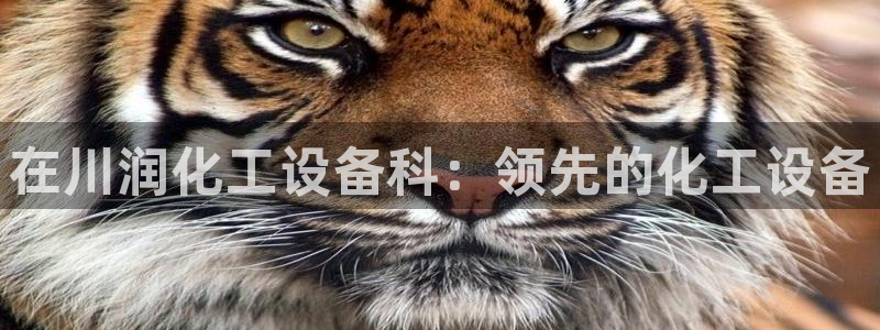 美狮贵宾有人赢过吗