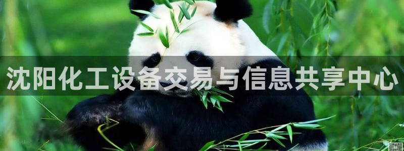 美狮科技有限公司