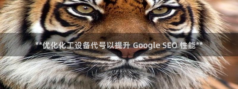 美狮会app