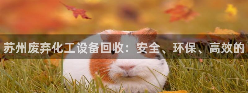 美狮会员卡等级划分图