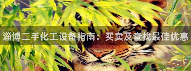 美狮充值中心