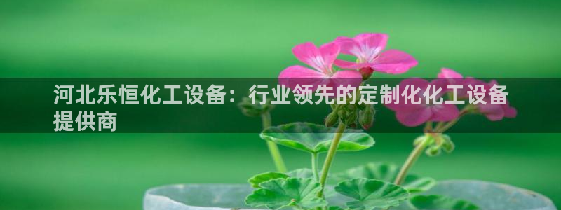 美狮实业有限公司