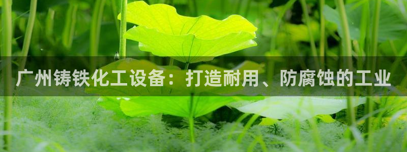 美狮贵宾会中心