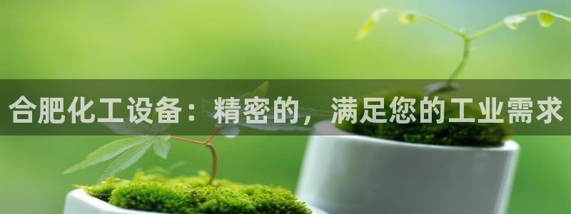 美狮国际控股集团