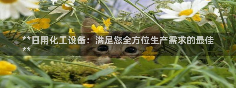 美狮荟积分规则