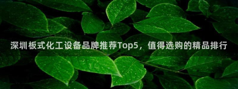 美狮贵宾会官网