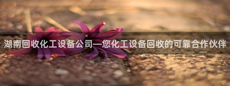 美狮实业有限公司