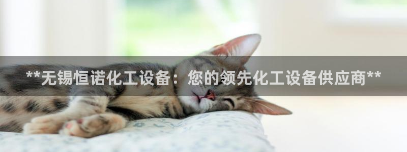 美狮贵宾会开了几年了吗