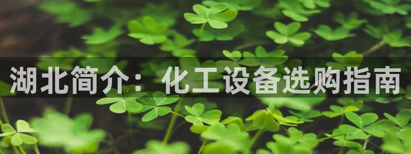 美狮集团财务部待遇
