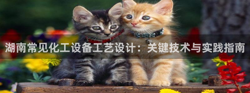 美狮集团董事长兼总经理