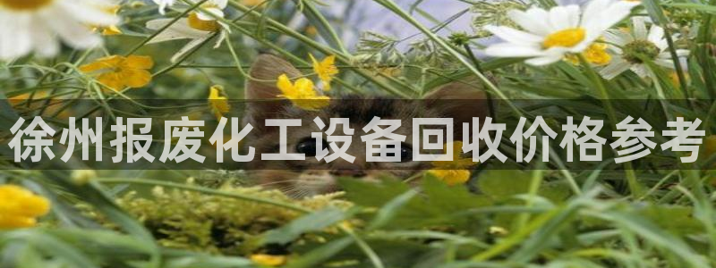 美狮贵宾会官网网址