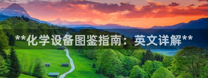 美狮贵宾会官方