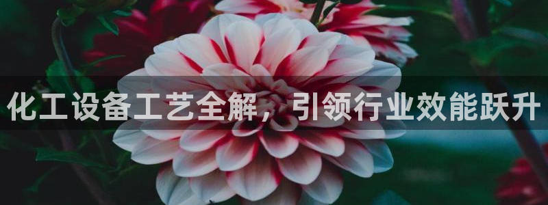 美狮贵宾会首页