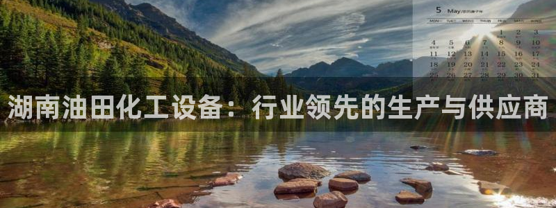 美国美狮集团