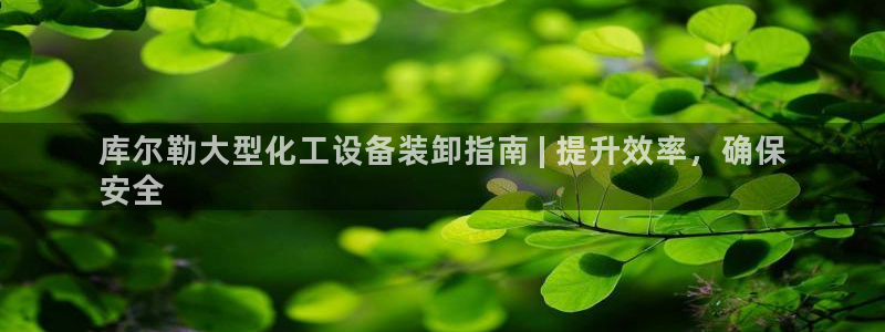 美狮贵宾会怎么不到了