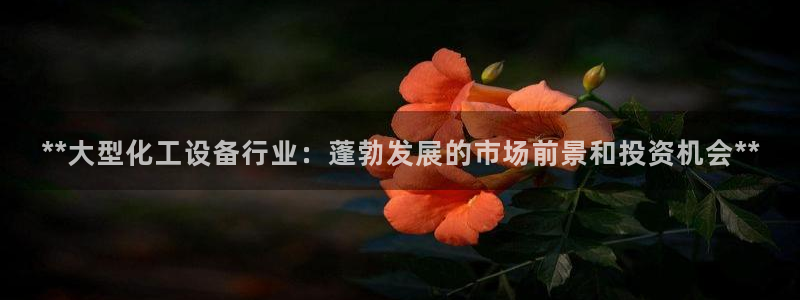 美狮贵宾会代理