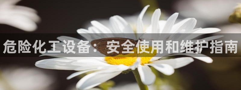 美狮国际控股集团