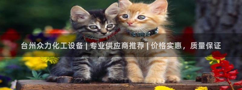 美狮贵宾快速充值中心