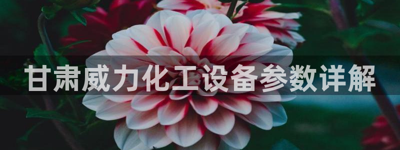 美狮会员网站