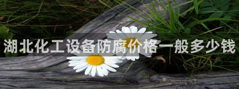 美狮会推荐人
