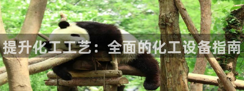 美狮贵宾会会员等级怎么看