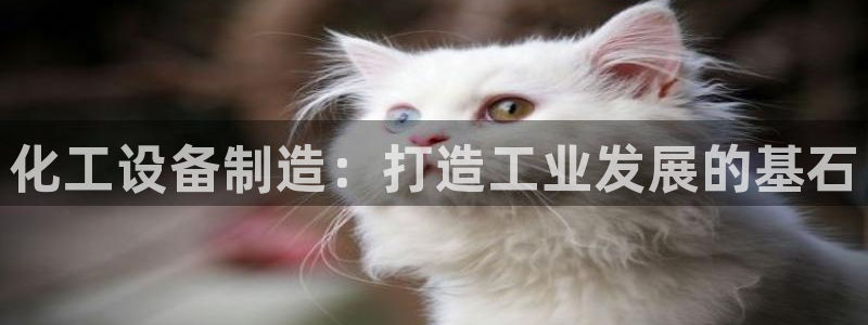 美狮外汇合法吗