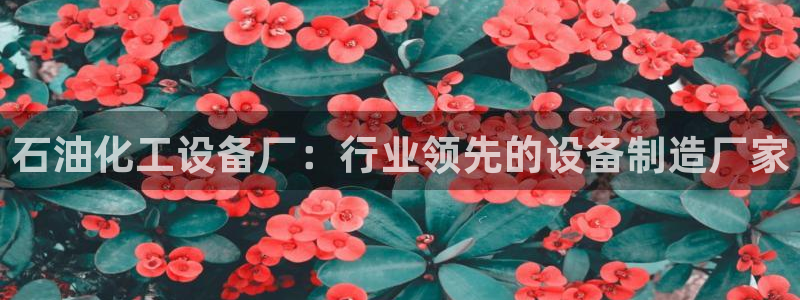 美狮集团董事长兼总经理