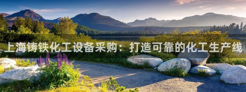 美狮贵宾会