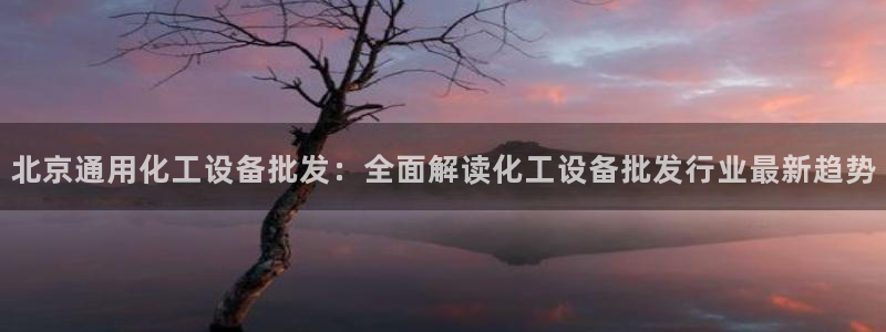 美狮国际控股集团